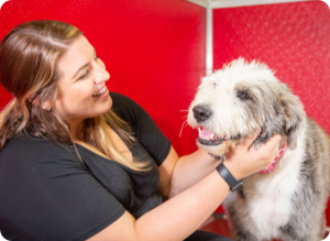 A dog and owner smile after boarding at The Dog Stop