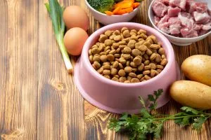 the best dog food for healthy options
